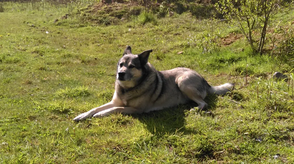 Condolence image of Jürgen