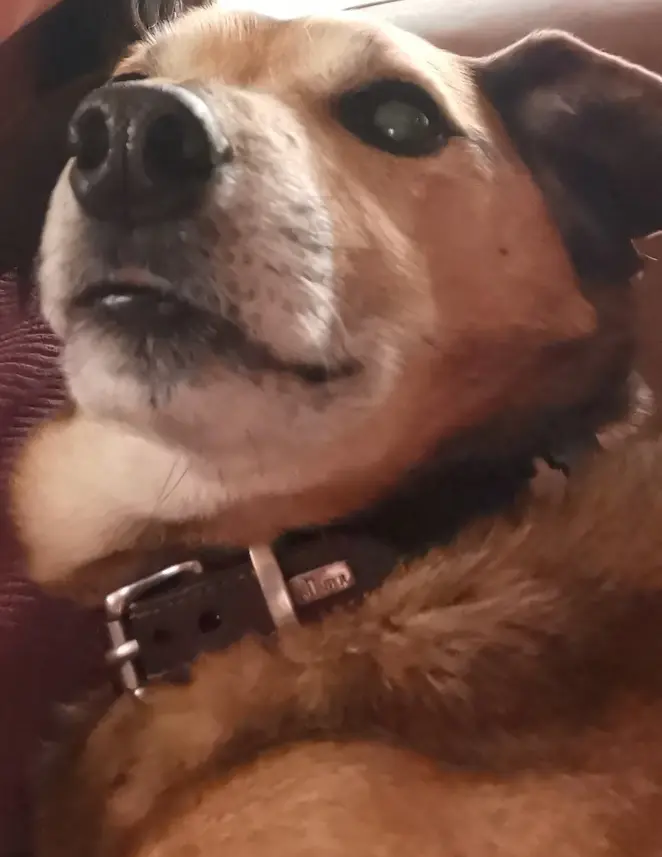Condolence image of Jessy