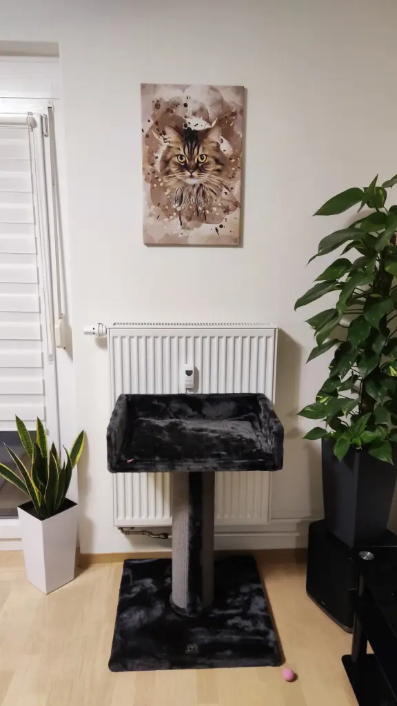 Image from Django