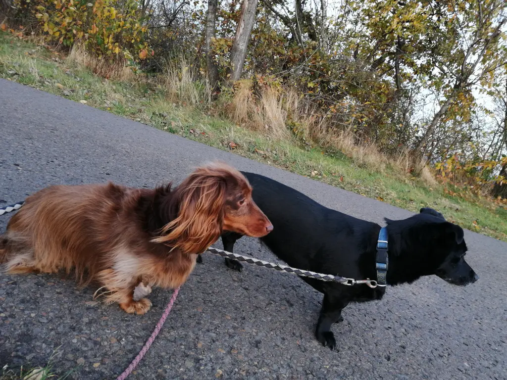 Andachtsbild von Ulrike