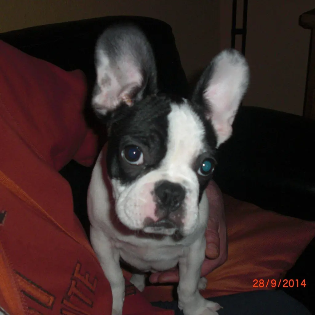 Image from Lucy