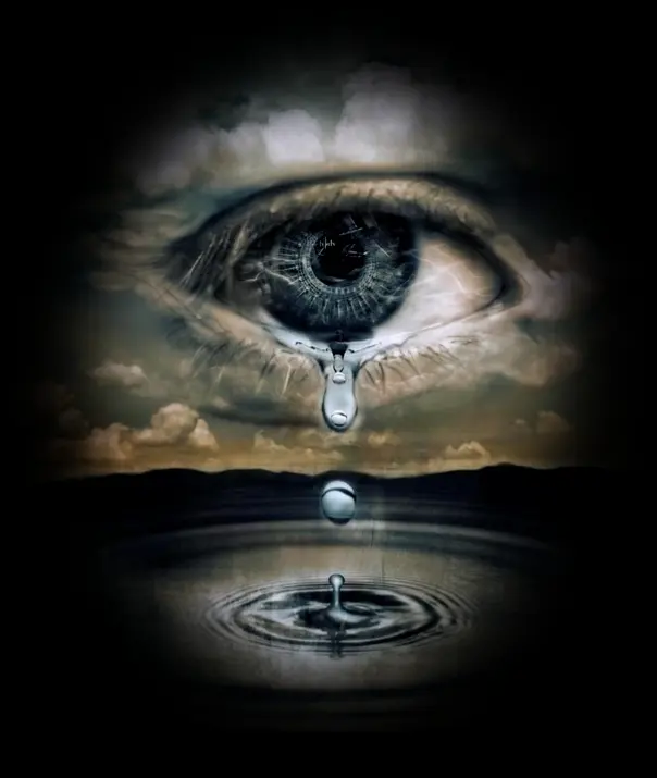 Image from KAN