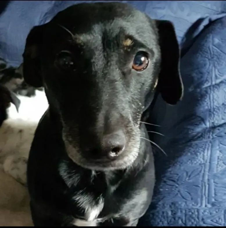 Image from Milow