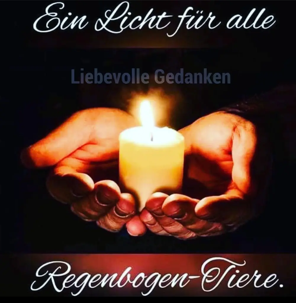 Condolence image of Gabi mit Max gest.20.11.2020❣️