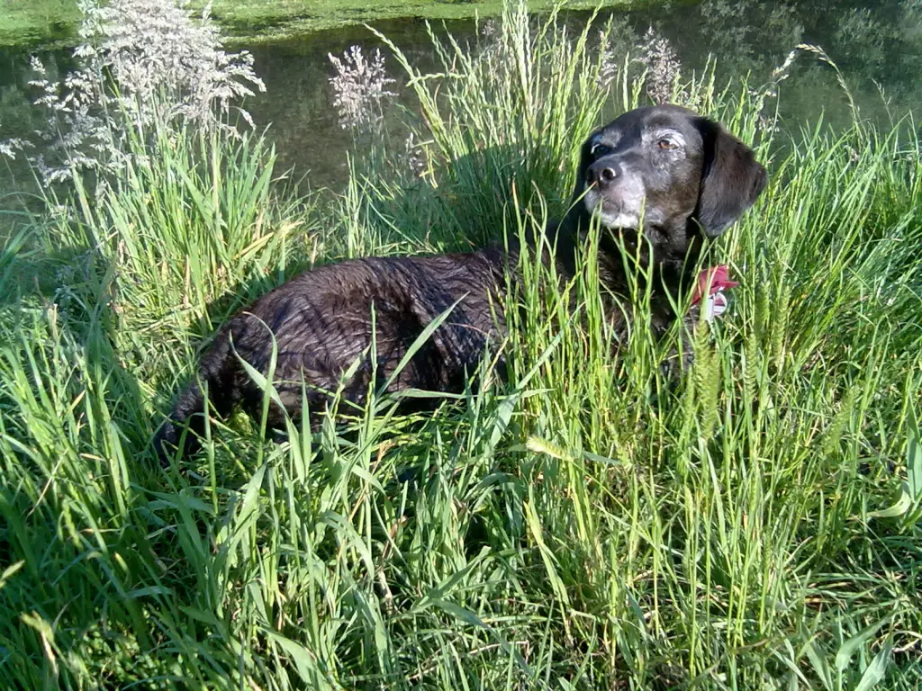Condolence image of Erika