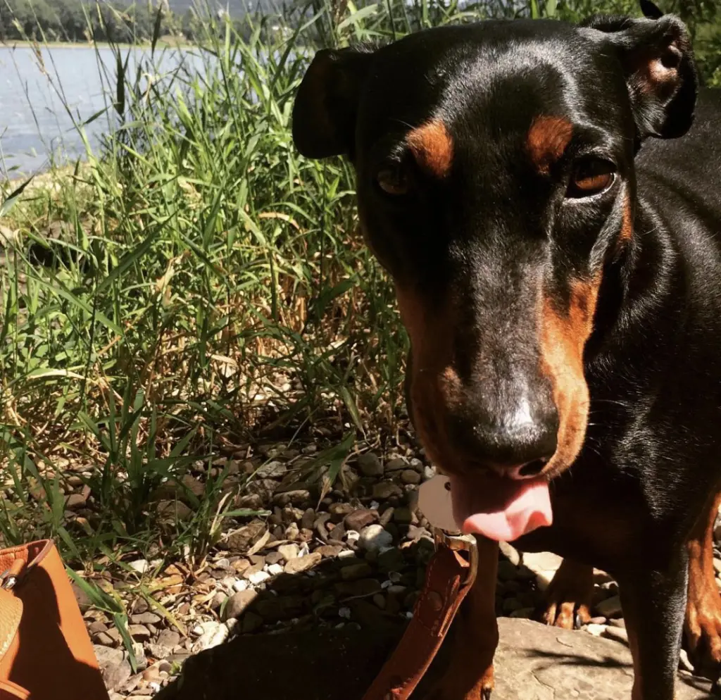 Image from Luna