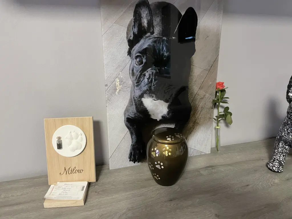 Image from Milow