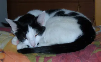 Condolence image of Annette
