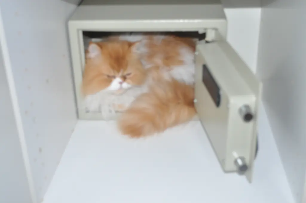 Image from Balou