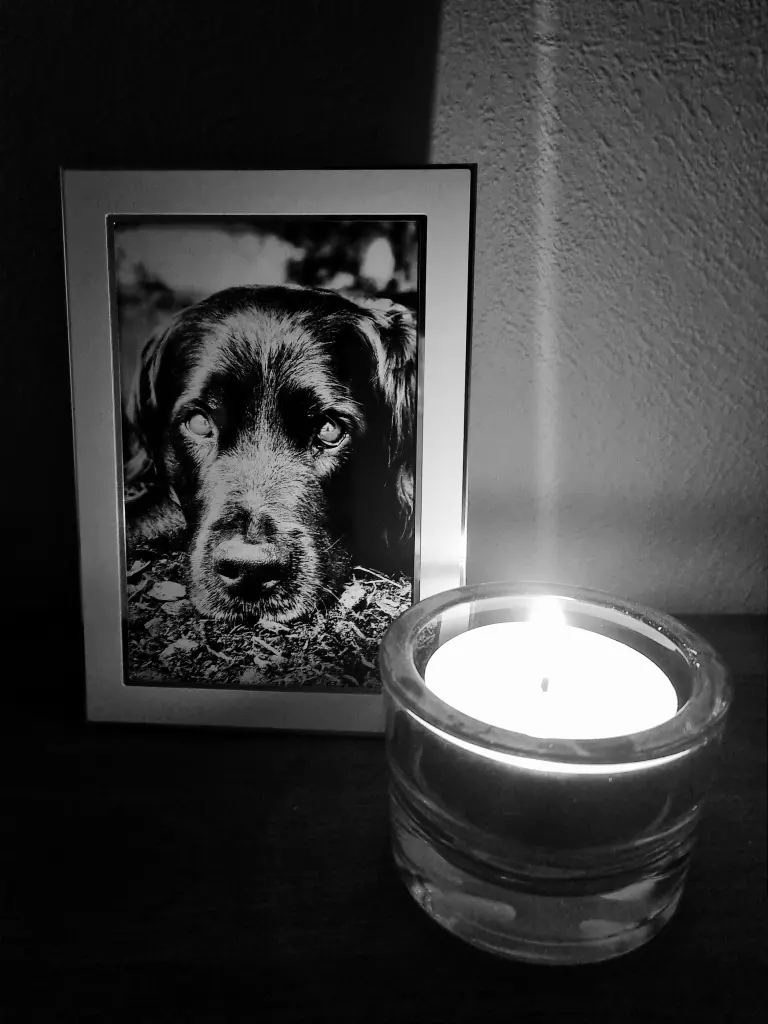 Condolence image of Martina