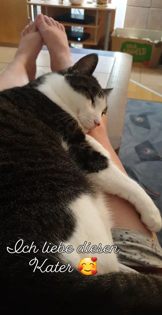 Image from Leo