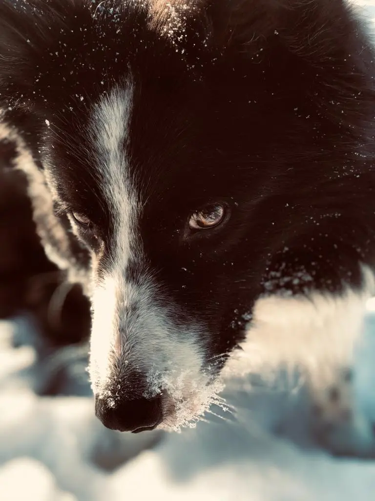 Image from Timmy