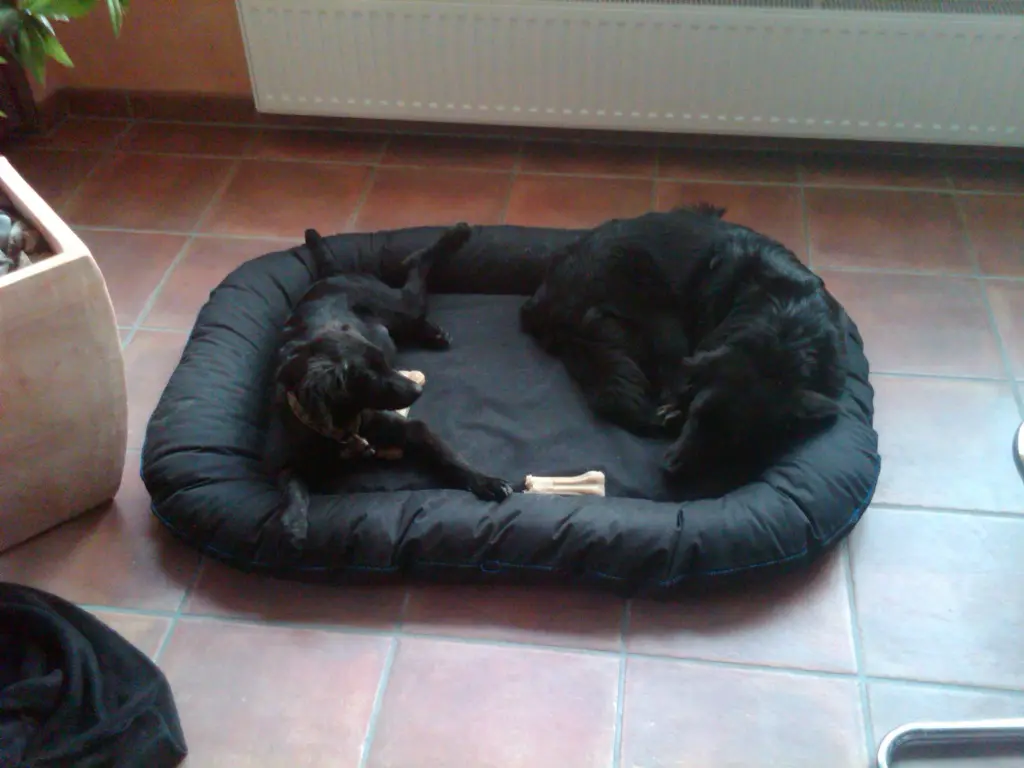Image from Balou