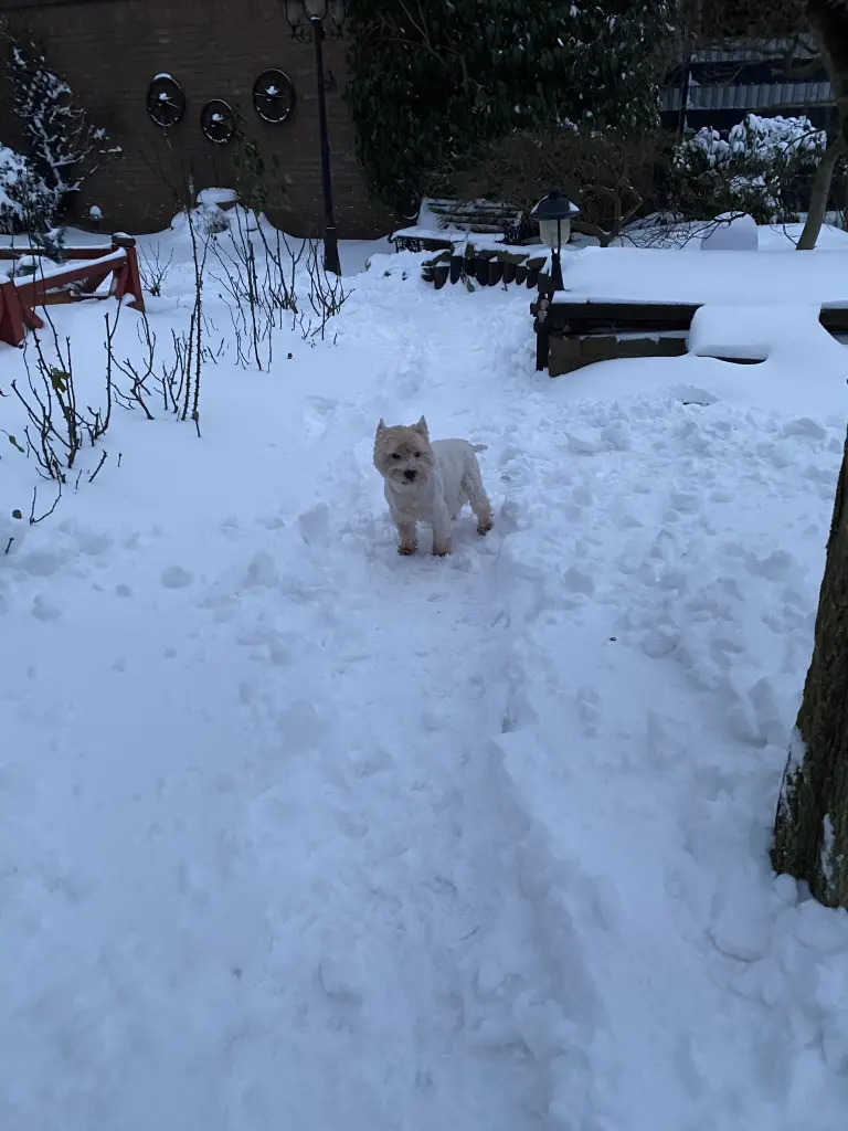 Image from Freddy