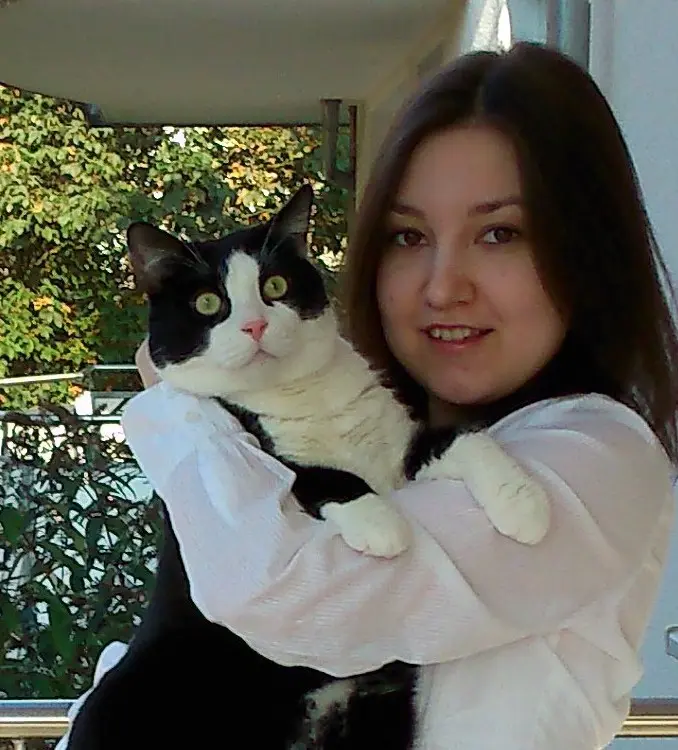 Image from Sunny
