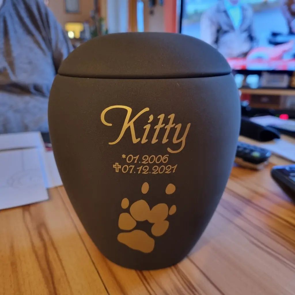Image from Kitty