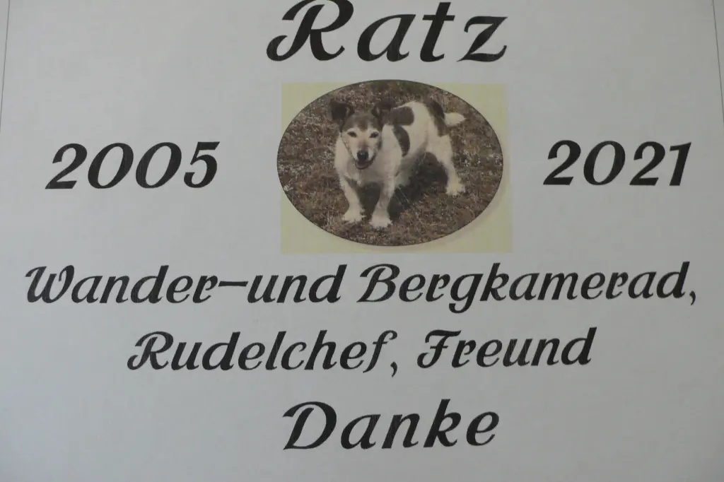 Image from Ratz