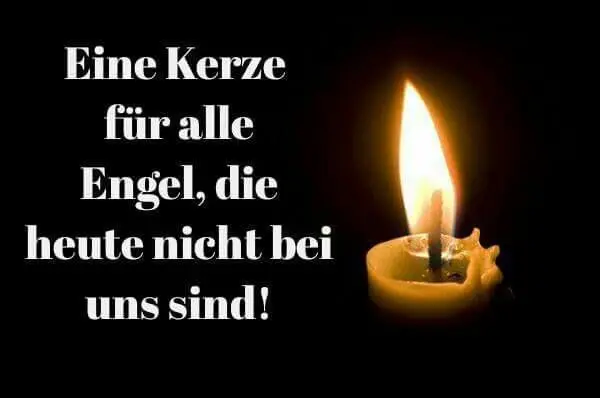 Image from Für alle unsere Lieblinge die Weihnachten ein kleines Stück entfernt von uns verbringen ♥️