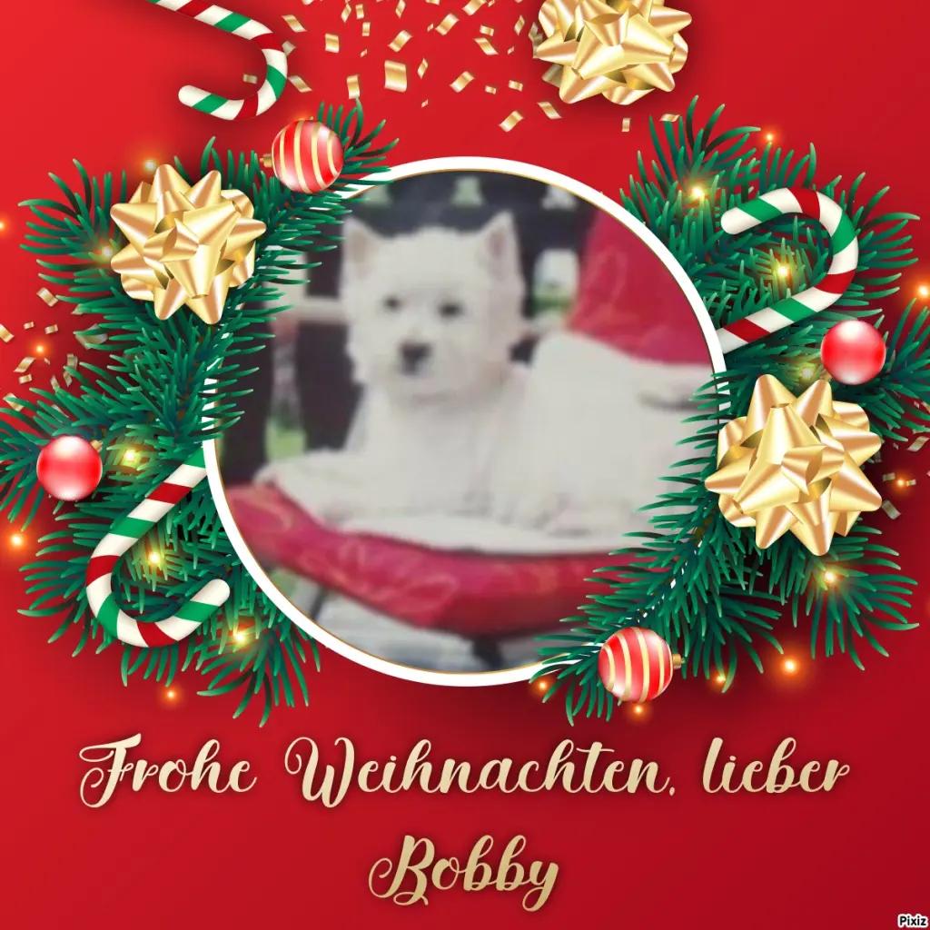 Condolence image of Tanja mit Timmy im Herzen