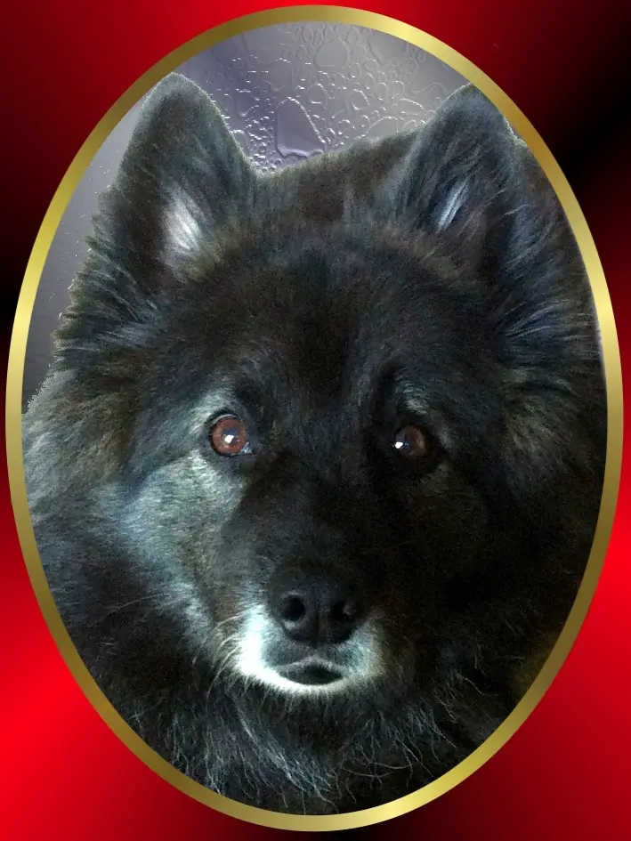Image from Kimi