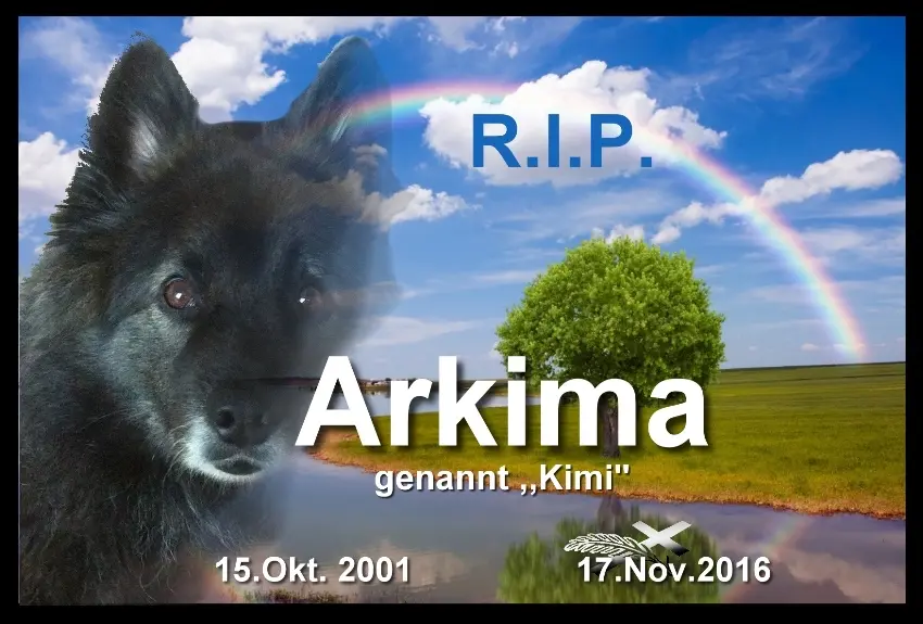 Image from Kimi