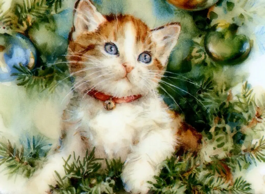 Condolence image of Tinka