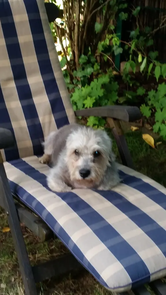 Image from Darcy