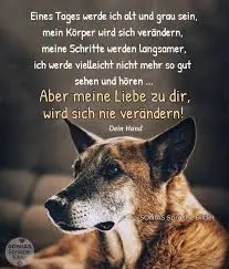 Condolence image of Gabi mit Max gest.20.11.2020❣️