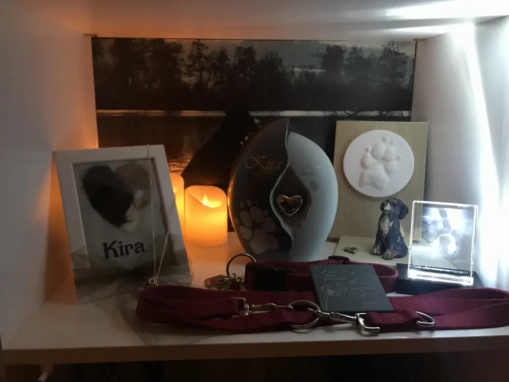 Image from Kira