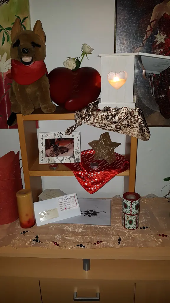 Image from Sandy