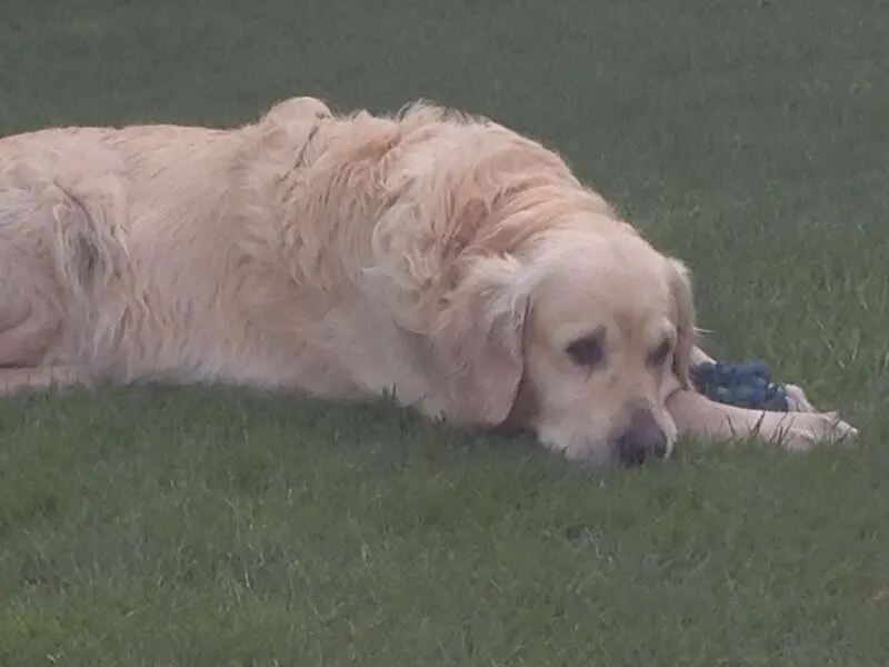 Andachtsbild von Andy und Piet