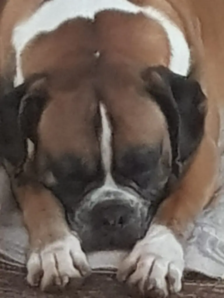 Condolence image of Heike