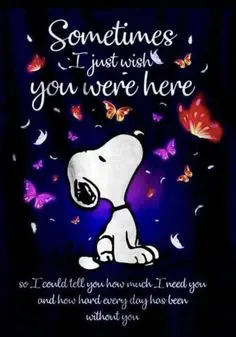 Condolence image of Karina mit Floyd im ❤