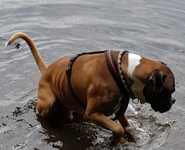 Condolence image of Heike