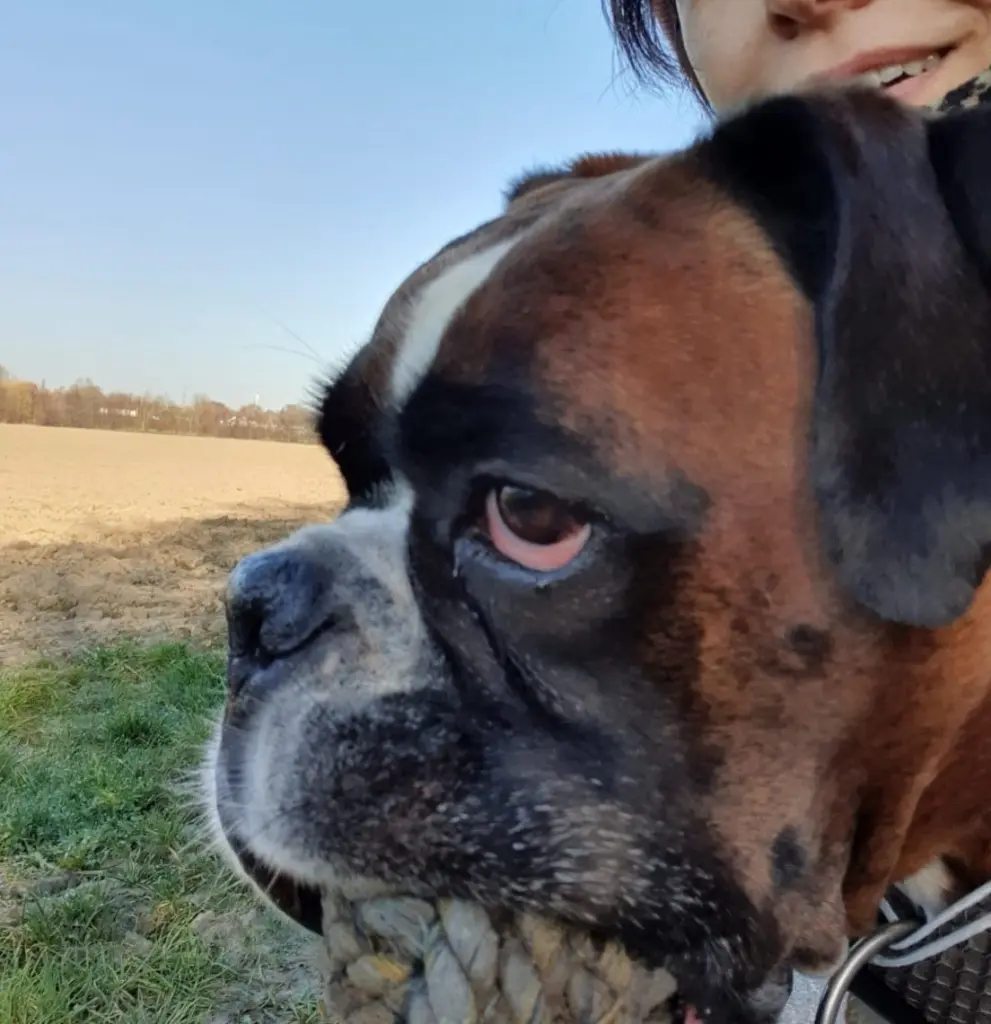 Condolence image of Karina und Jörg mit Floyd im ❤ 