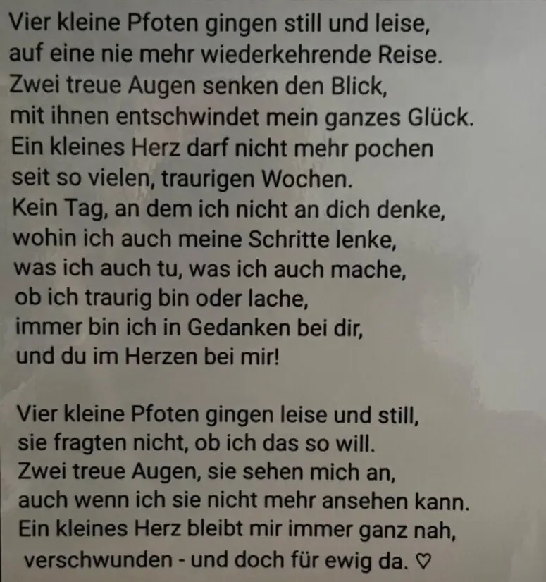 Condolence image of Karina und Jörg mit Floyd im ❤