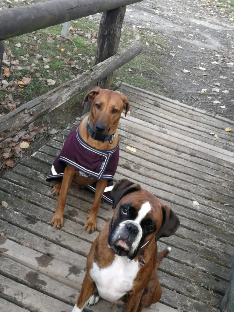 Condolence image of Karina und Jörg mit Floyd im ❤