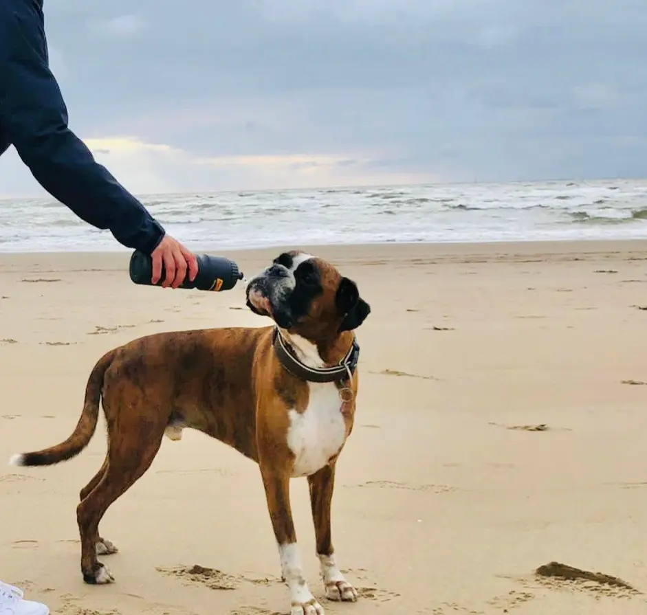 Condolence image of Karina und Jörg mit Floyd im ❤