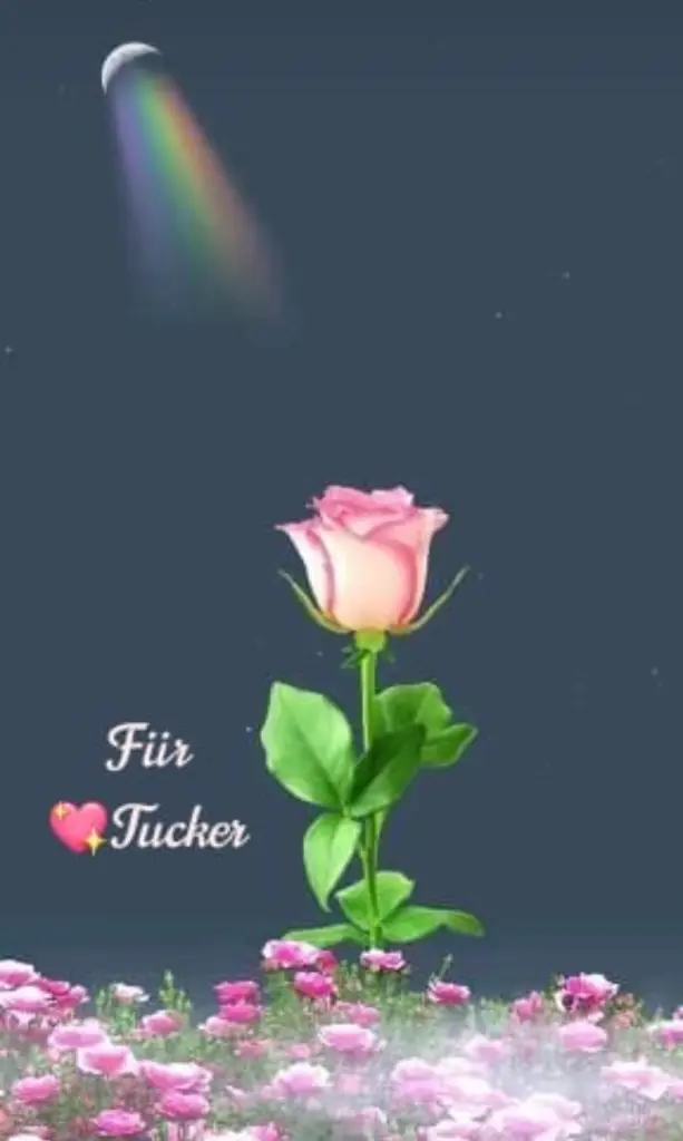 Condolence image of **❤️**