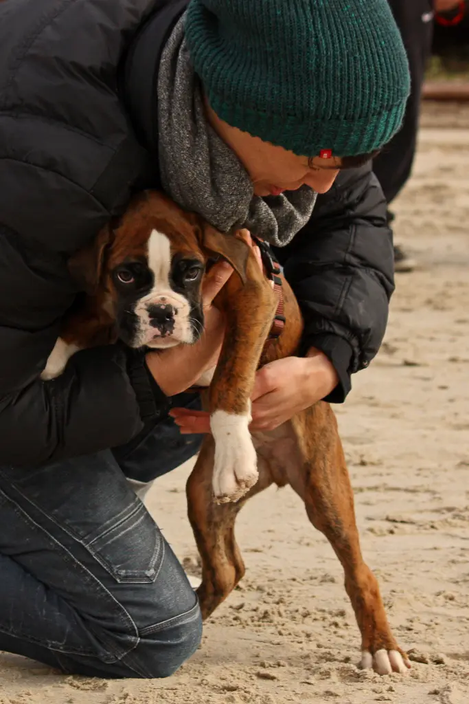 Condolence image of Karina und Jörg mit Floyd im ❤ 