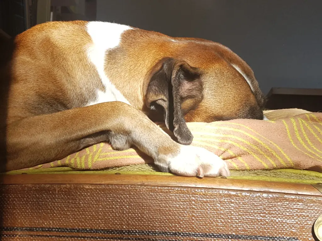 Condolence image of Heike