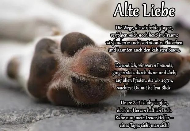 Condolence image of Karina und Jörg mit Floyd im ❤
