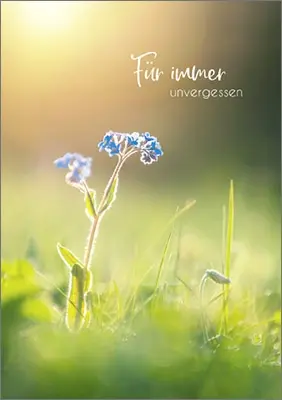 Condolence image of Karina und Jörg mit Floyd im ❤