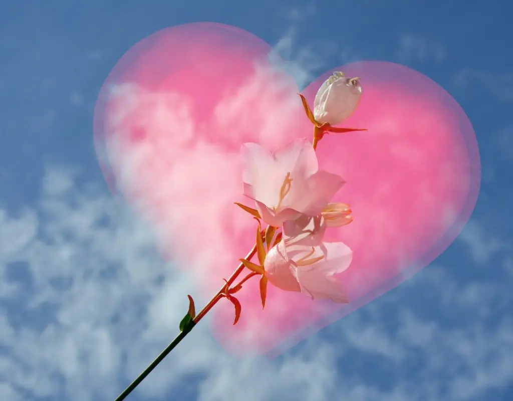 Condolence image of ❤️❤️❤️❤️