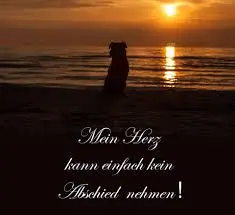 Condolence image of Karina und Jörg mit Floyd im ❤