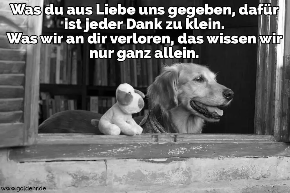 Condolence image of Karina und Jörg mit Floyd im ❤