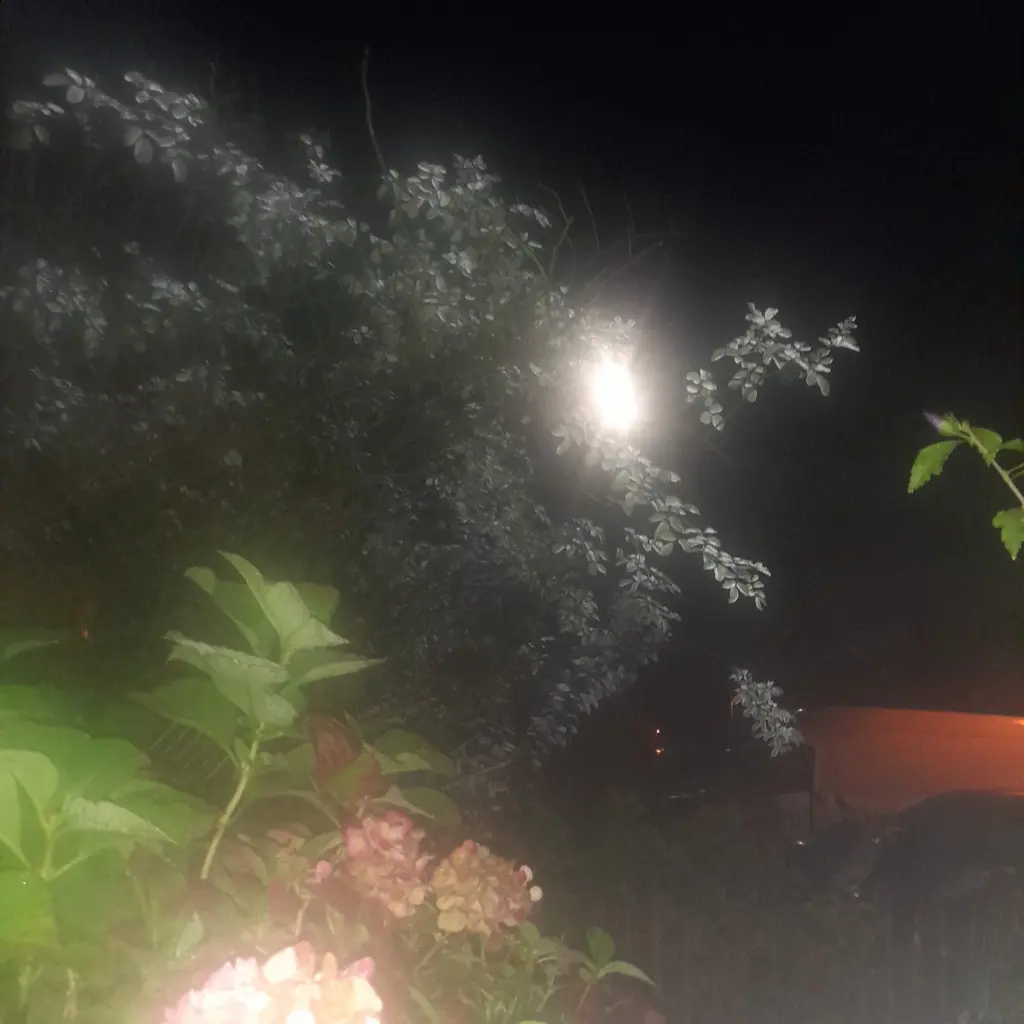 Condolence image of Heike