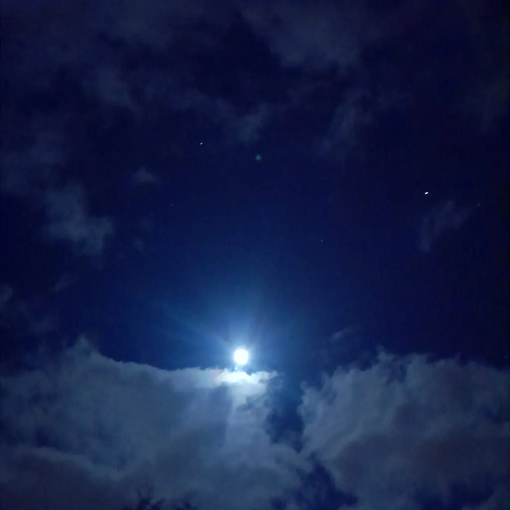 Condolence image of Heike