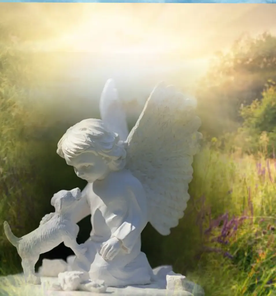 Condolence image of Gaby mit ♡☙Snowy☙♡
