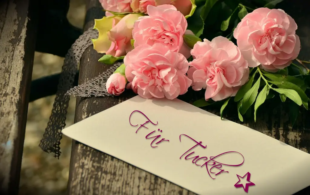 Condolence image of Für 🥀♡Tucker ♡🥀 zum✰ Monatsgedenktag✰